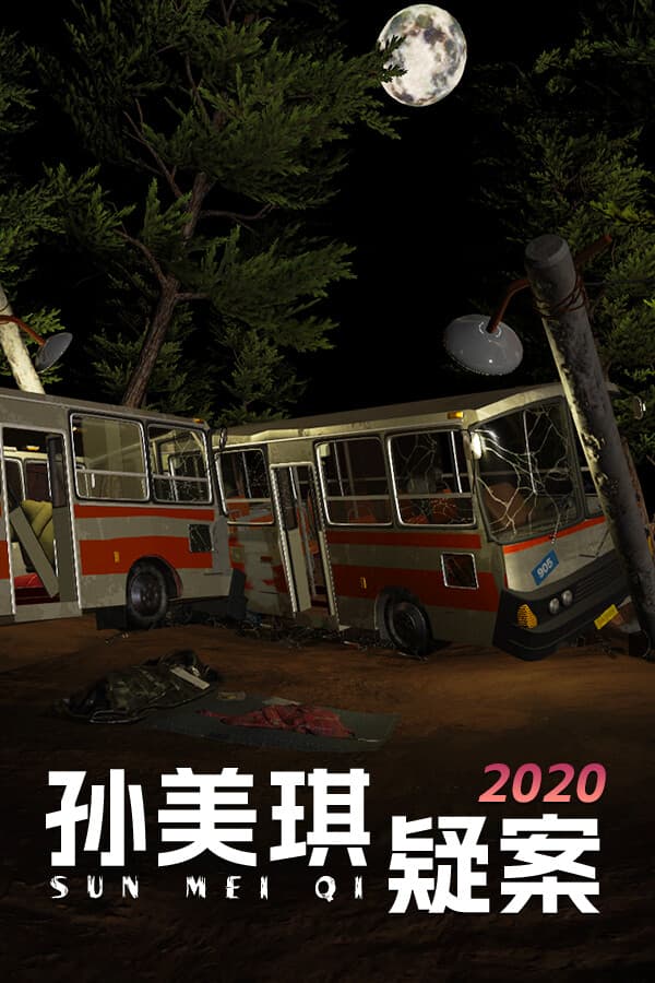 孙美琪疑案2020